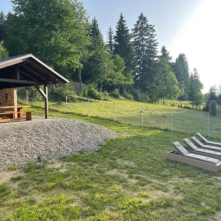 Cabana Caprioara Holiday home Borsa (Maramures)